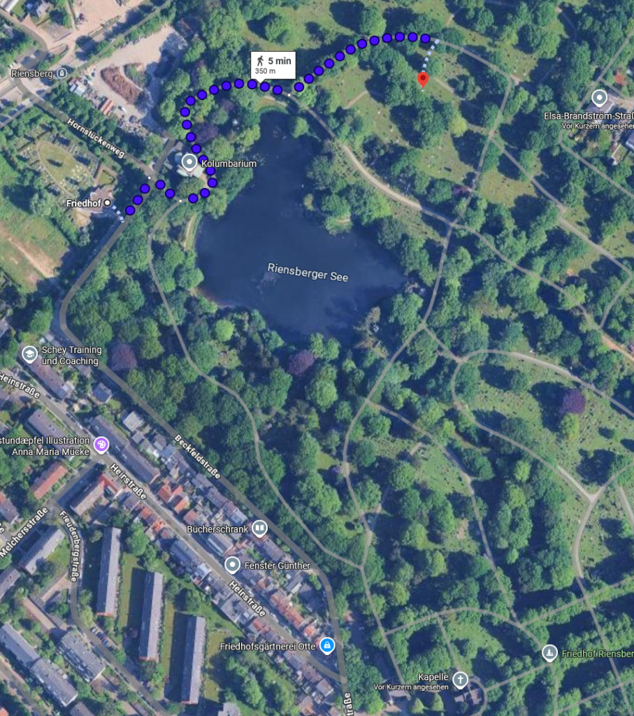 Fussweg_Parkplatz_grab